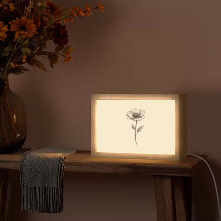 Klaproos - Illustratie - Zwart Light Box met kabel (Tafellamp) klein -sfeer4