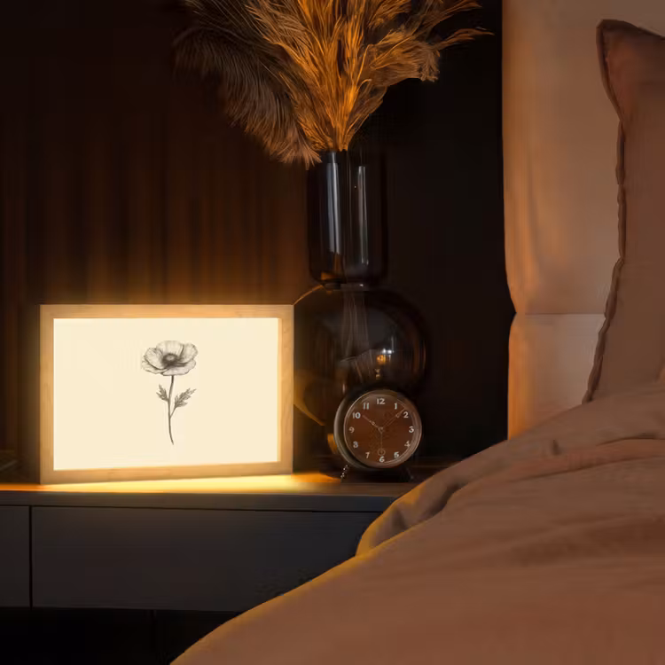 Klaproos - Illustratie - Zwart Light Box met kabel (Tafellamp) klein -sfeer1