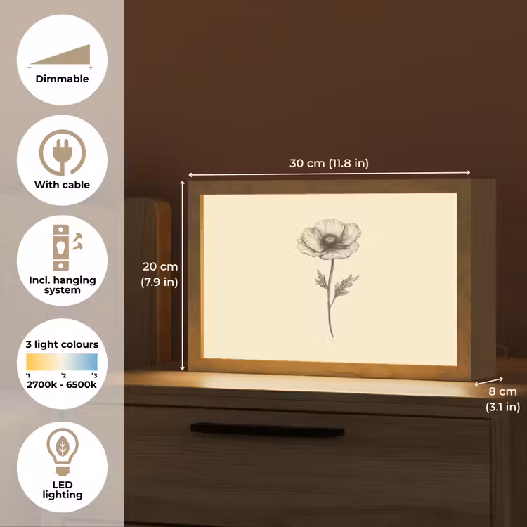 Klaproos - Illustratie - Zwart Light Box met kabel (Tafellamp) klein -USP_EN