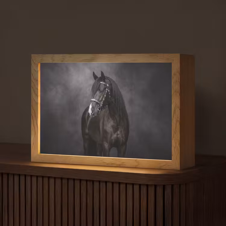 Portret - Paard - Zwart Light Box met kabel (Tafellamp) klein -z3d_website