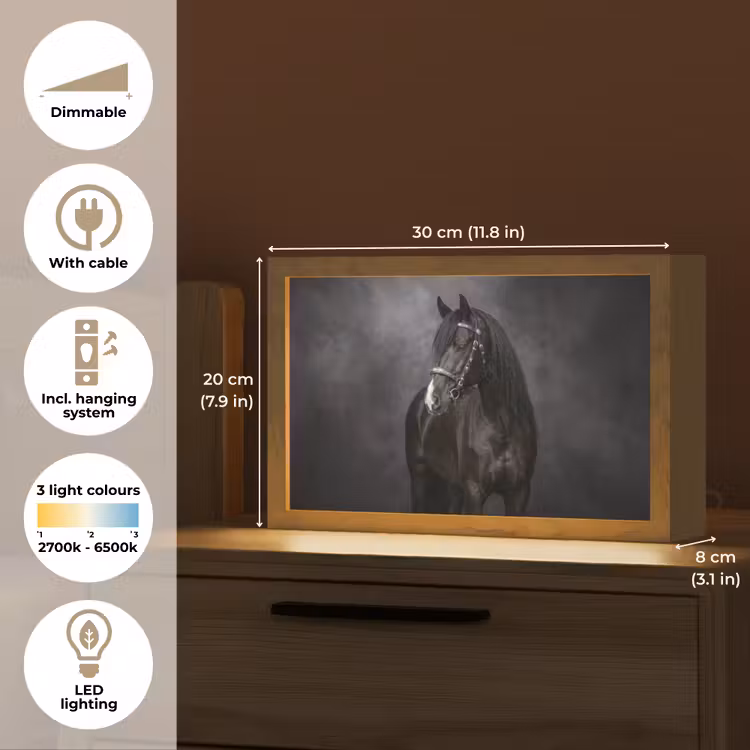 Portret - Paard - Zwart Light Box met kabel (Tafellamp) klein -USP_EN