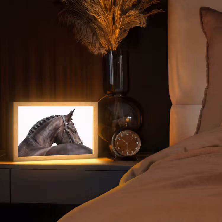 Portret - Paard - Elegant Light Box met kabel (Tafellamp) klein -sfeer1