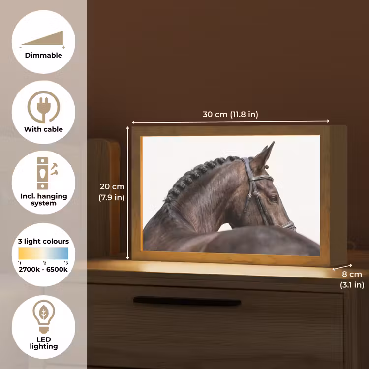 Portret - Paard - Elegant Light Box met kabel (Tafellamp) klein -USP_EN