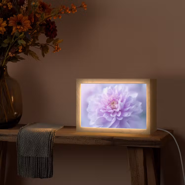 Paars - Dahlia - Dromerig Light Box met kabel (Tafellamp) klein -sfeer4