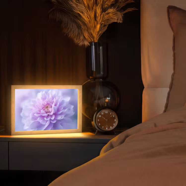 Paars - Dahlia - Dromerig Light Box met kabel (Tafellamp) klein -sfeer1