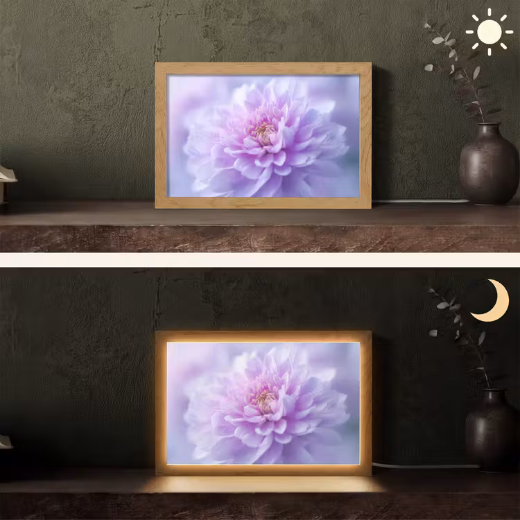 Paars - Dahlia - Dromerig Light Box met kabel (Tafellamp) klein -sfeer3