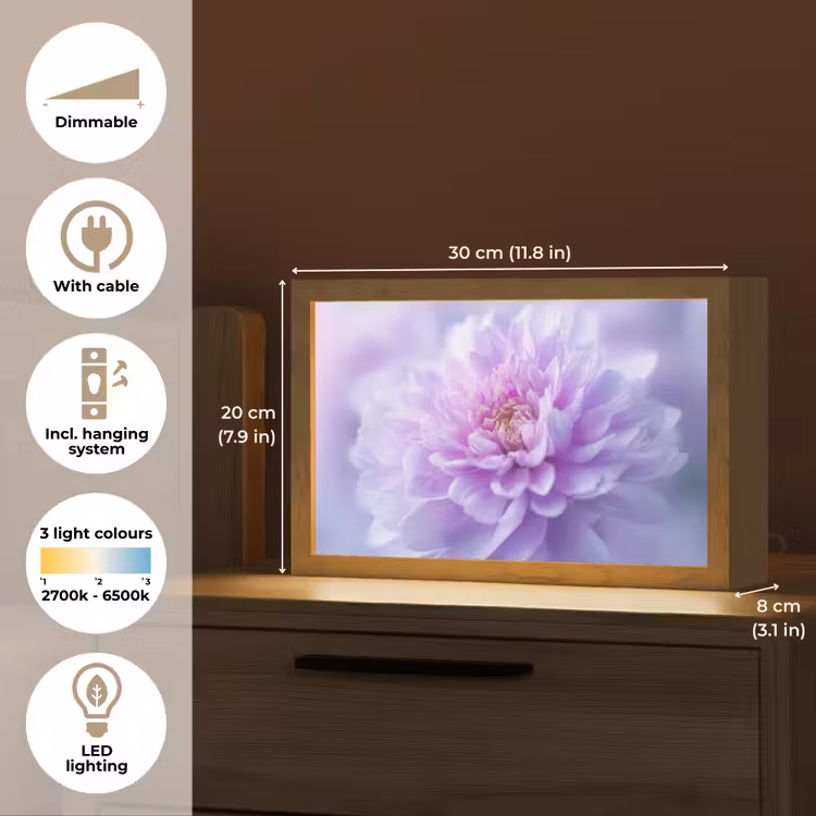 Paars - Dahlia - Dromerig Light Box met kabel (Tafellamp) klein -USP_EN