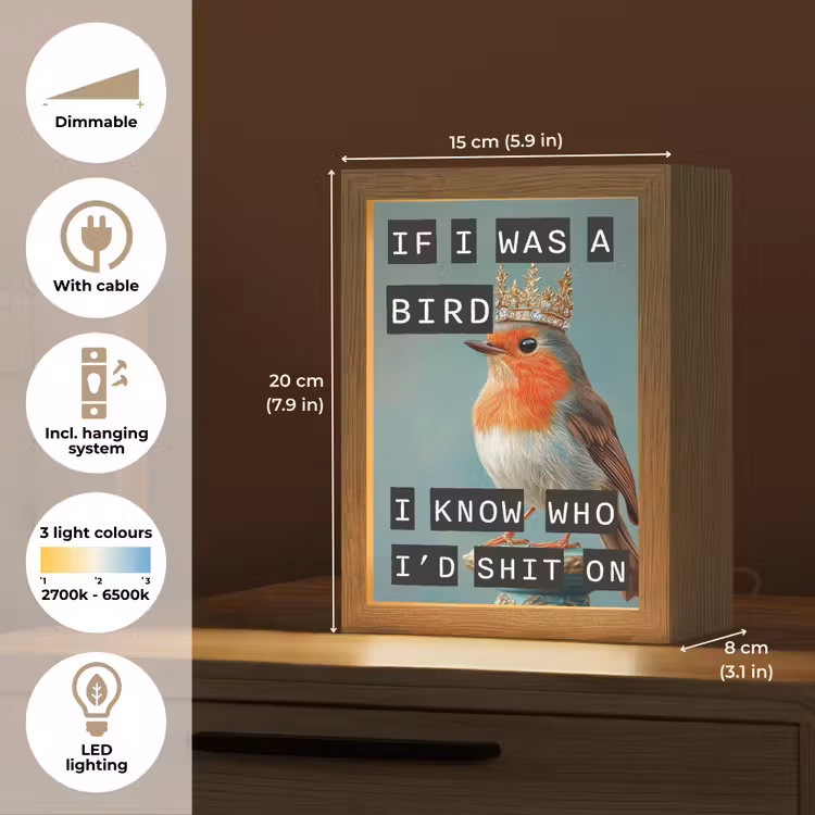 Roodborstje - Vogel - Blauw - Decoratie Light Box met kabel (Tafellamp) klein -USP_EN
