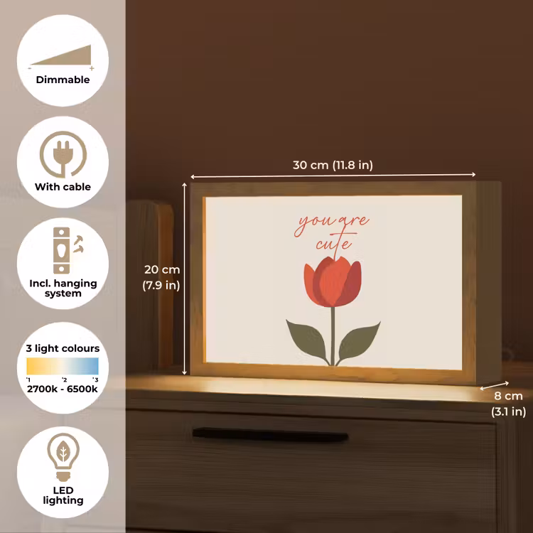 Roos - Rood - Bloem - Valentijn Light Box met kabel (Tafellamp) klein -USP_EN