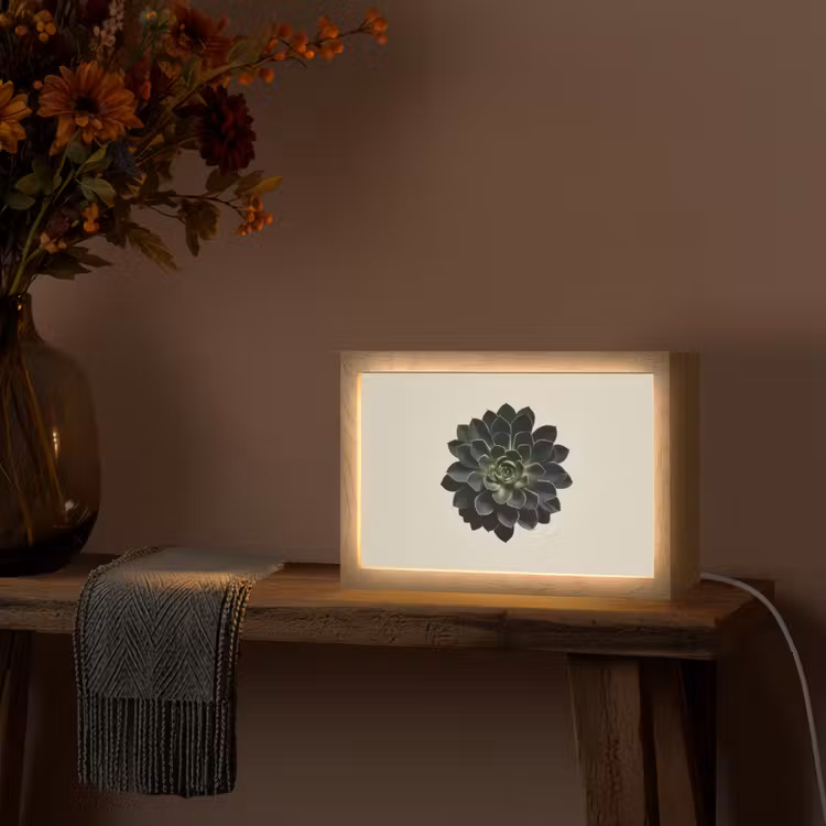 Rozet - Cirkelvormig - Donkergroen Light Box met kabel (Tafellamp) klein -sfeer4