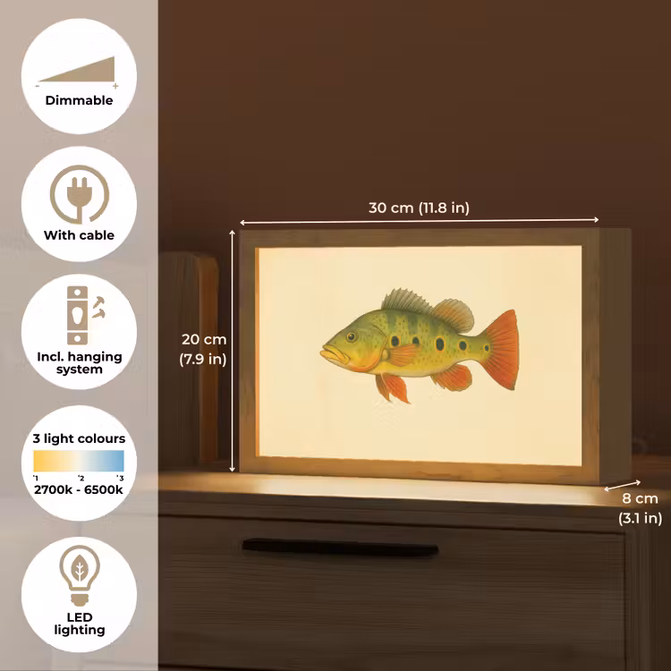 Schubben - Vis - Groen - Illustratie Light Box met kabel (Tafellamp) klein -USP_EN