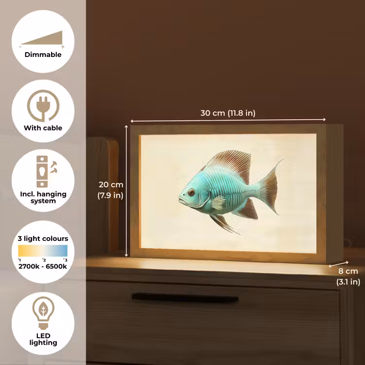 Schubben - Vis - Mint - Minimalistisch Light Box met kabel (Tafellamp) klein -USP_EN