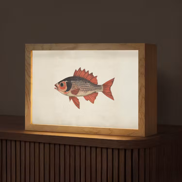 Schubben - Rood - Vis - Vinnen Light Box met kabel (Tafellamp) klein -z3d_website