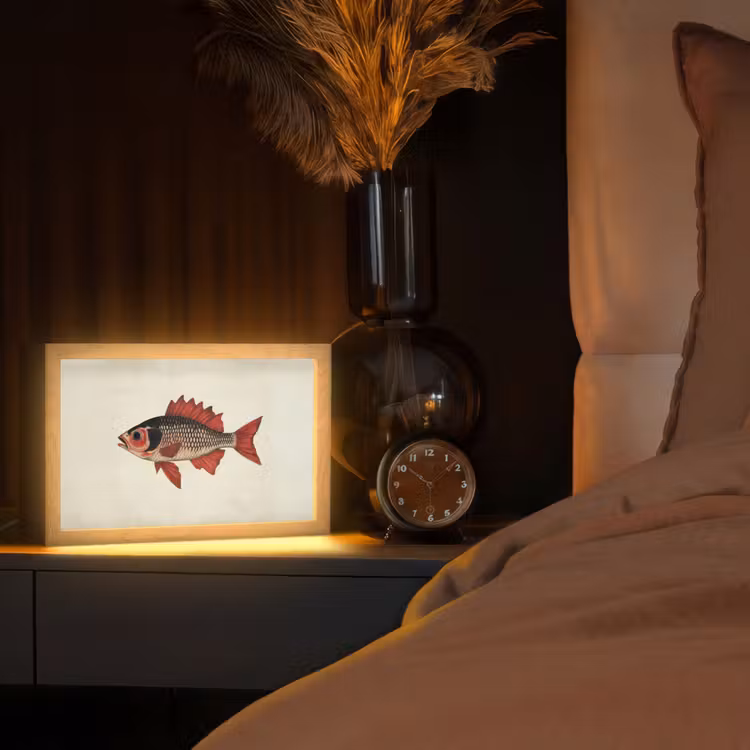 Schubben - Rood - Vis - Vinnen Light Box met kabel (Tafellamp) klein -sfeer1