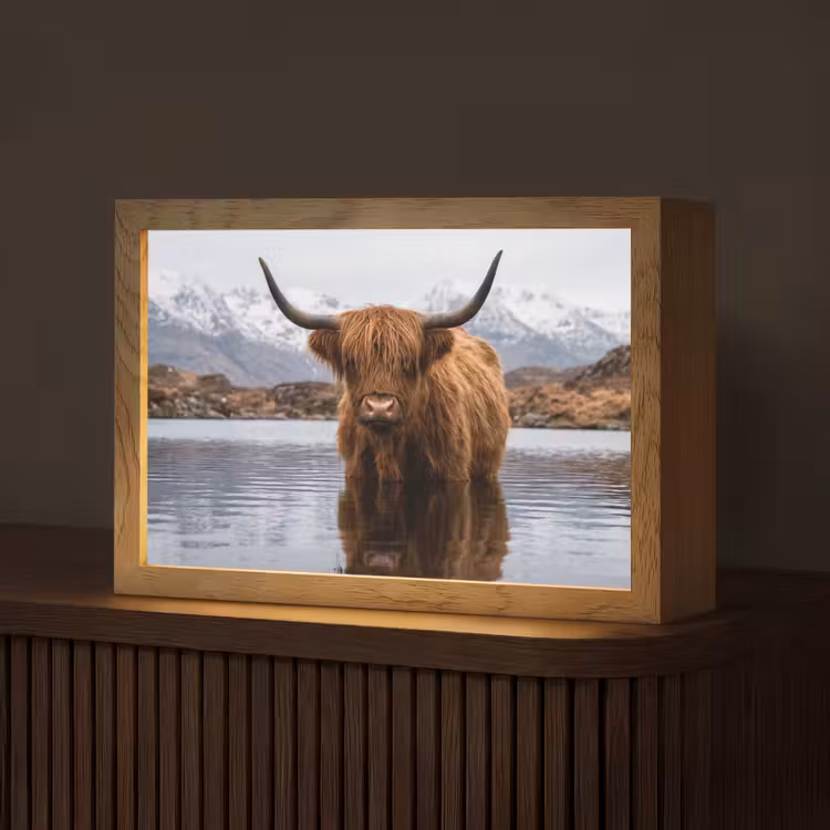 Schotse hooglander - Bruin - Water Light Box met kabel (Tafellamp) klein -z3d_website