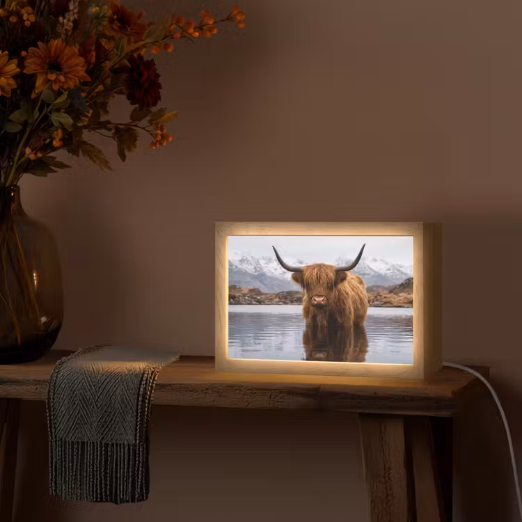 Schotse hooglander - Bruin - Water Light Box met kabel (Tafellamp) klein -sfeer4
