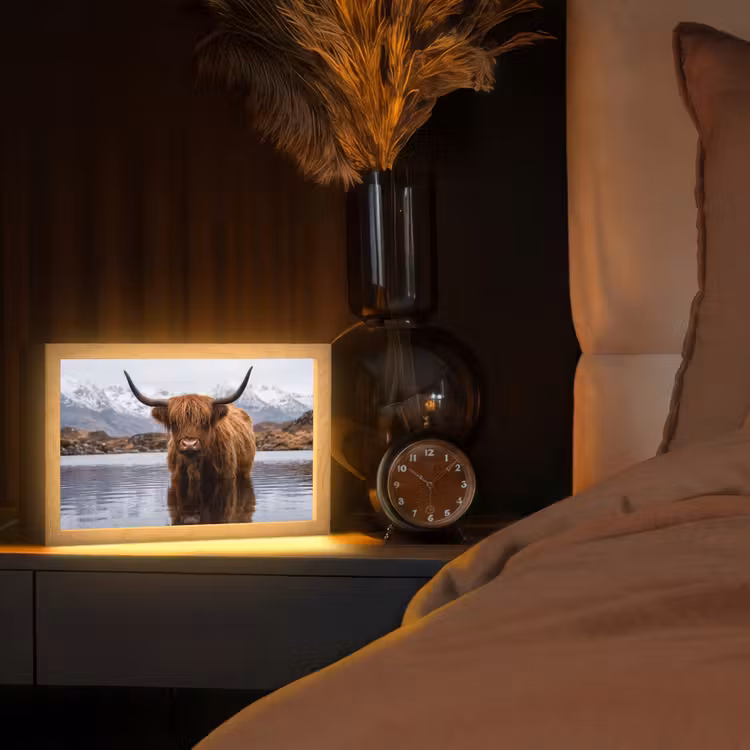 Schotse hooglander - Bruin - Water Light Box met kabel (Tafellamp) klein -sfeer1