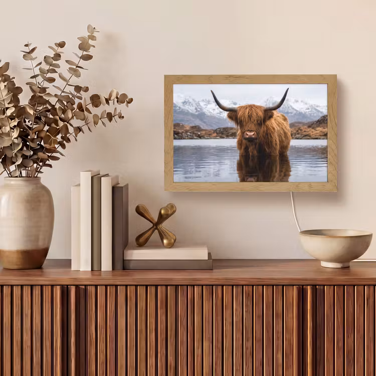 Schotse hooglander - Bruin - Water Light Box met kabel (Tafellamp) klein -sfeer2