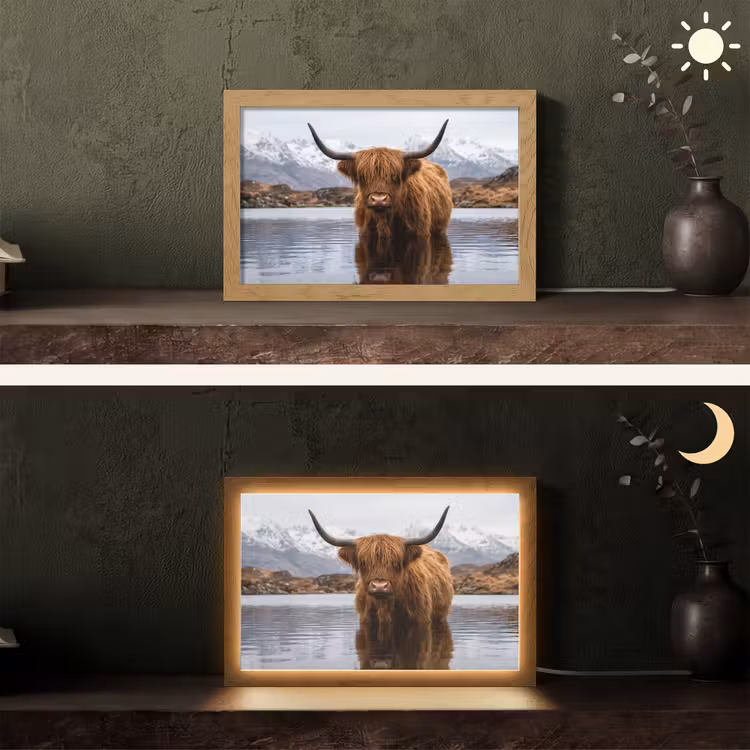 Schotse hooglander - Bruin - Water Light Box met kabel (Tafellamp) klein -sfeer3