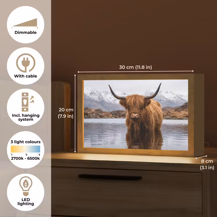 Schotse hooglander - Bruin - Water Light Box met kabel (Tafellamp) klein -USP_EN