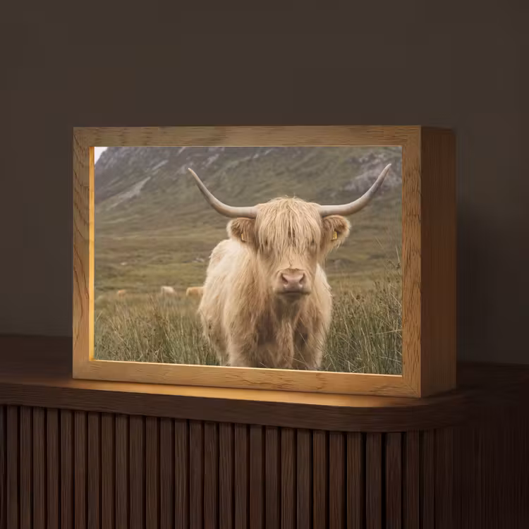 Schotse hooglander - Bergen - Grasveld Light Box met kabel (Tafellamp) klein -z3d_website