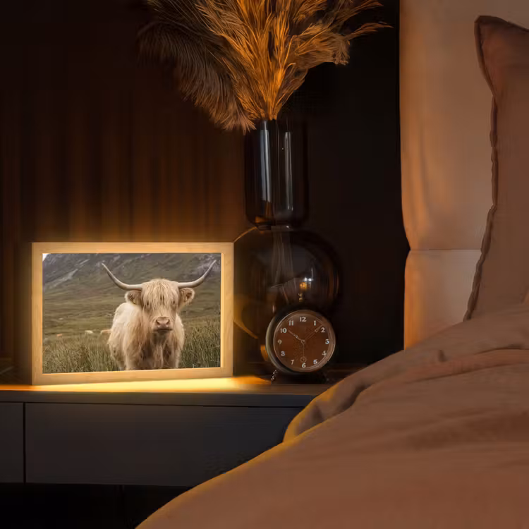 Schotse hooglander - Bergen - Grasveld Light Box met kabel (Tafellamp) klein -sfeer1