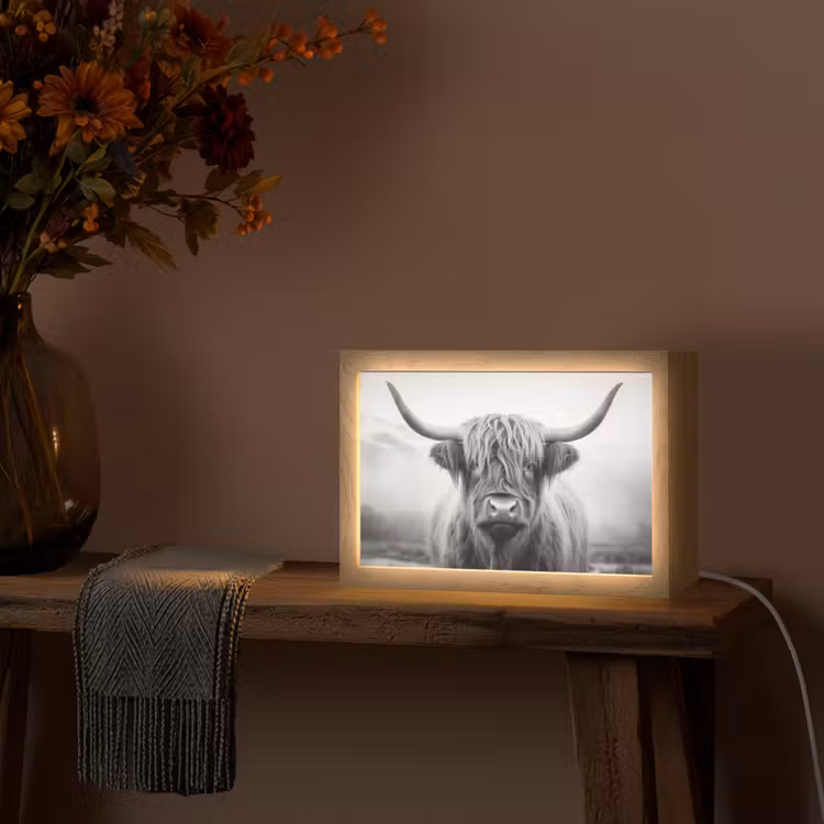 Schotse hooglander - Dieren portret - Zwart - Wit - Dier Light Box met kabel (Tafellamp) klein -sfeer4