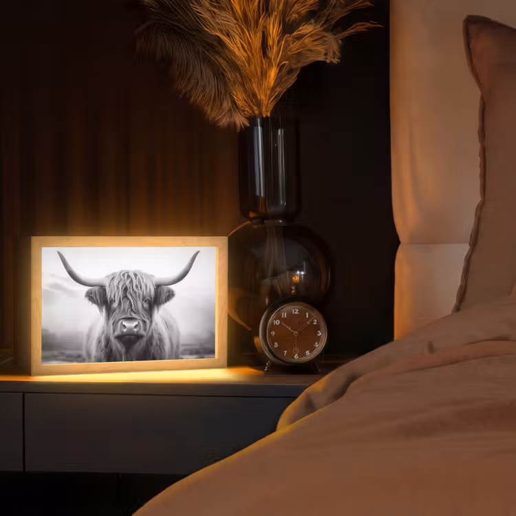 Schotse hooglander - Dieren portret - Zwart - Wit - Dier Light Box met kabel (Tafellamp) klein -sfeer1
