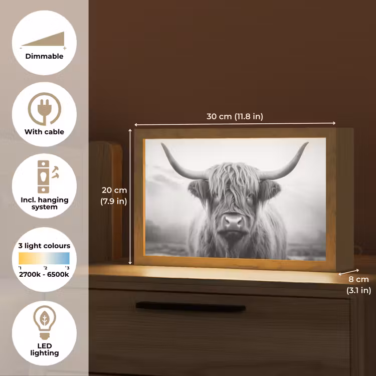 Schotse hooglander - Dieren portret - Zwart - Wit - Dier Light Box met kabel (Tafellamp) klein -USP_EN