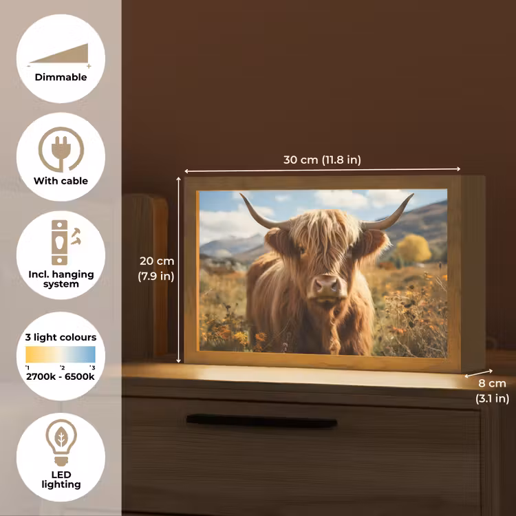 Schotse hooglander - Dieren portret - Natuur - Dier Light Box met kabel (Tafellamp) klein -USP_EN