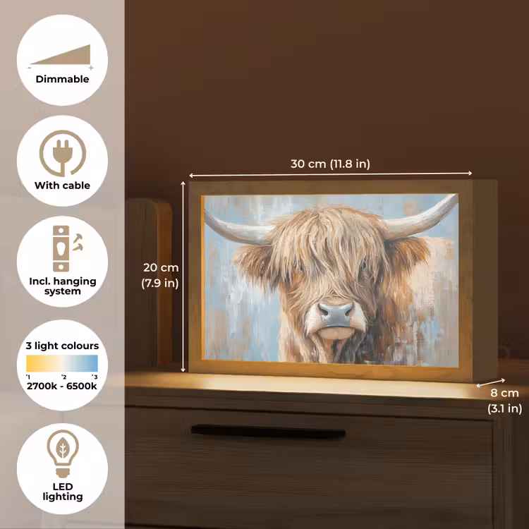 Schotse hooglander - Dieren - Koe - Street art Light Box met kabel (Tafellamp) klein -USP_EN
