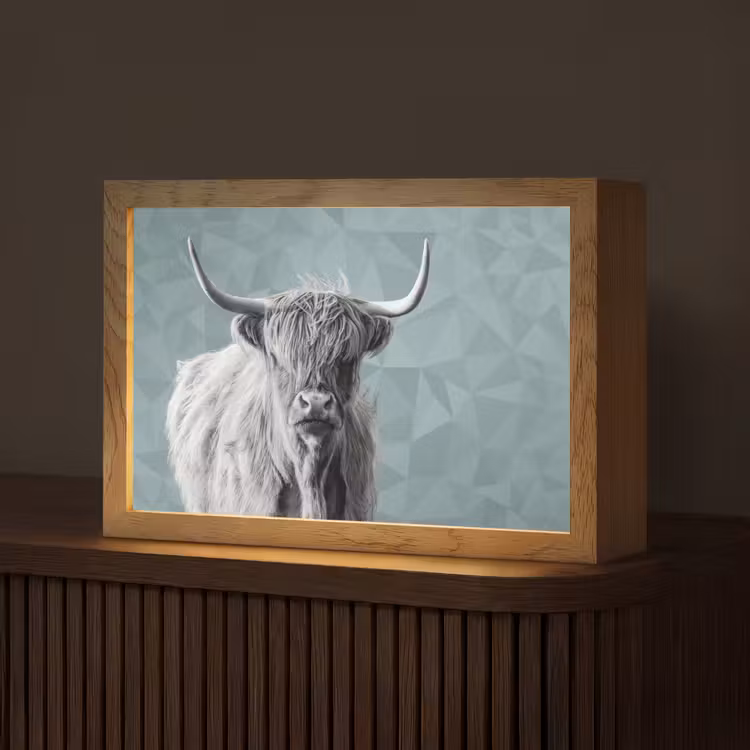 Schotse hooglander - Zwart wit - Patroon - Driehoek Light Box met kabel (Tafellamp) klein -z3d_website