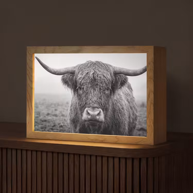 Schotse hooglander - Zwart - Wit - Gras Light Box met kabel (Tafellamp) klein -z3d_website