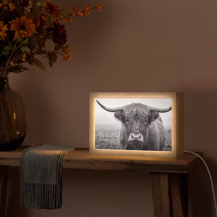 Schotse hooglander - Zwart - Wit - Gras Light Box met kabel (Tafellamp) klein -sfeer4