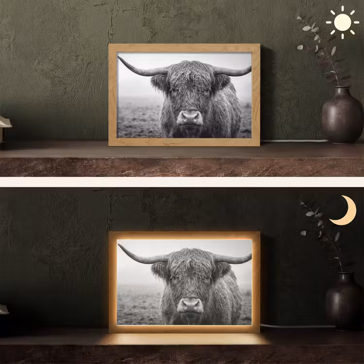 Schotse hooglander - Zwart - Wit - Gras Light Box met kabel (Tafellamp) klein -sfeer3