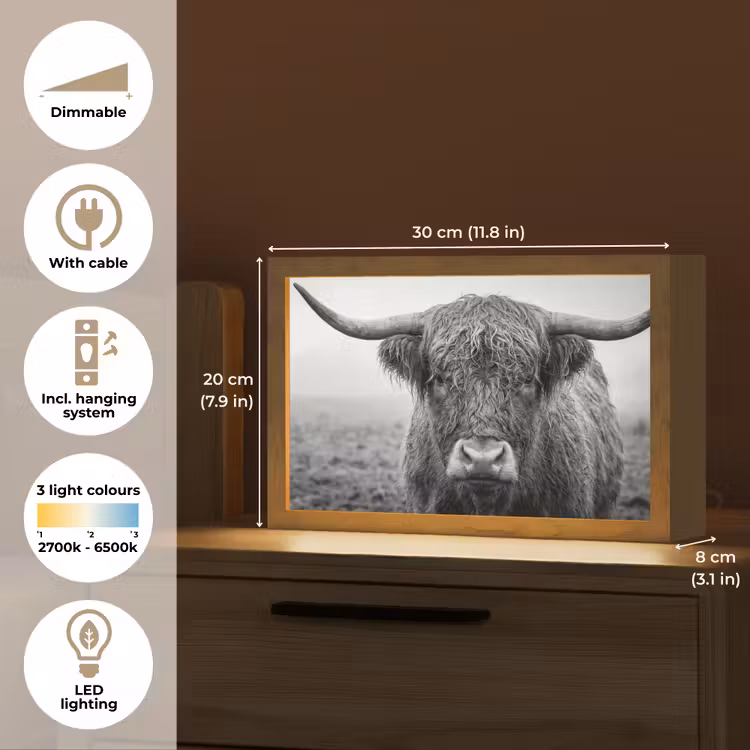 Schotse hooglander - Zwart - Wit - Gras Light Box met kabel (Tafellamp) klein -USP_EN