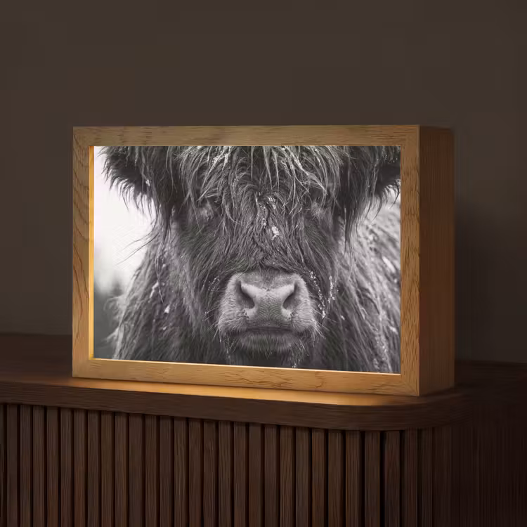 Schotse hooglander - Zwart - Wit - Sneeuwvlokken Light Box met kabel (Tafellamp) klein -z3d_website