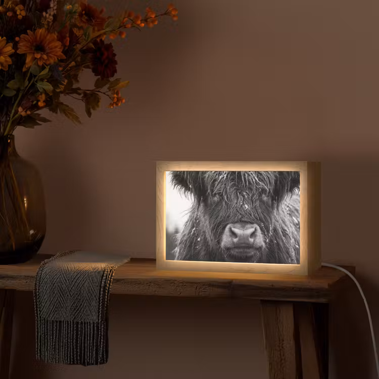 Schotse hooglander - Zwart - Wit - Sneeuwvlokken Light Box met kabel (Tafellamp) klein -sfeer4