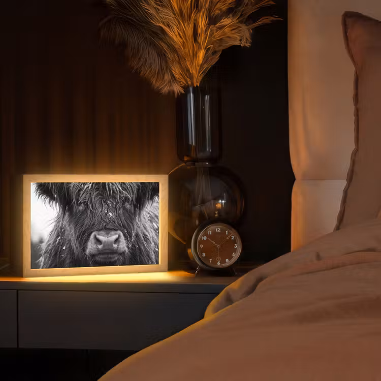 Schotse hooglander - Zwart - Wit - Sneeuwvlokken Light Box met kabel (Tafellamp) klein -sfeer1