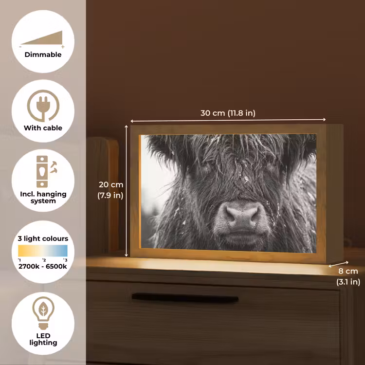 Schotse hooglander - Zwart - Wit - Sneeuwvlokken Light Box met kabel (Tafellamp) klein -USP_EN