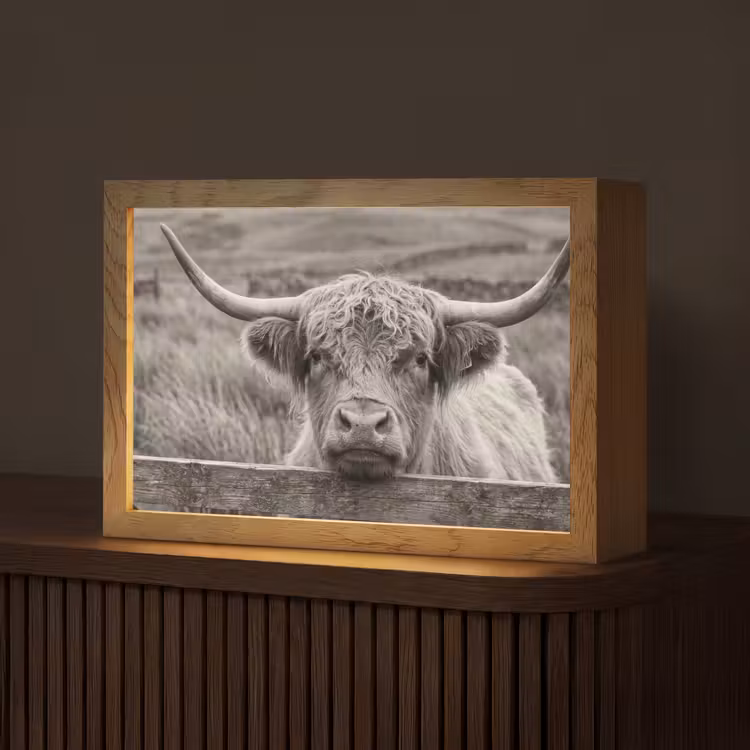 Schotse hooglander - Zwart - Wit - Hout Light Box met kabel (Tafellamp) klein -z3d_website