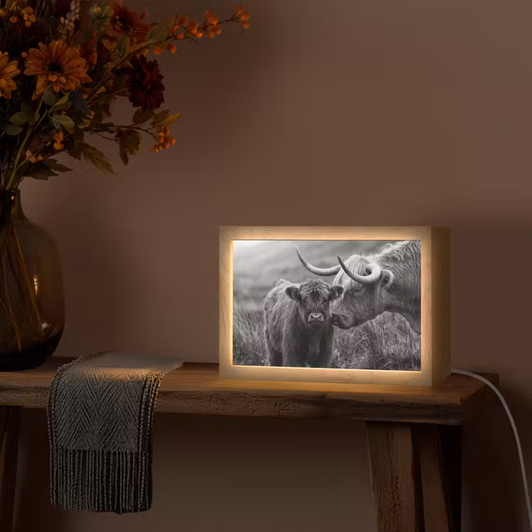 Schotse hooglander - Kalf - Zwart - Wit Light Box met kabel (Tafellamp) klein -sfeer4