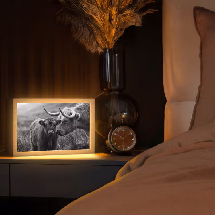 Schotse hooglander - Kalf - Zwart - Wit Light Box met kabel (Tafellamp) klein -sfeer1