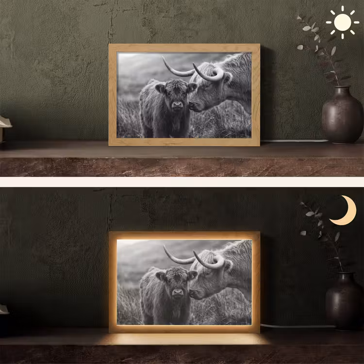 Schotse hooglander - Kalf - Zwart - Wit Light Box met kabel (Tafellamp) klein -sfeer3