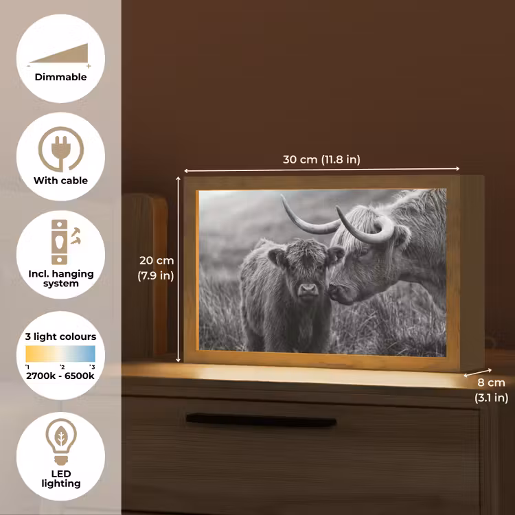 Schotse hooglander - Kalf - Zwart - Wit Light Box met kabel (Tafellamp) klein -USP_EN