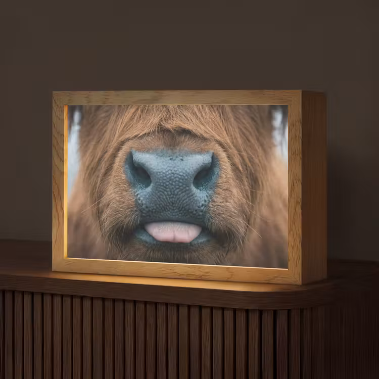 Schotse hooglander - Neus - Bruin Light Box met kabel (Tafellamp) klein -z3d_website