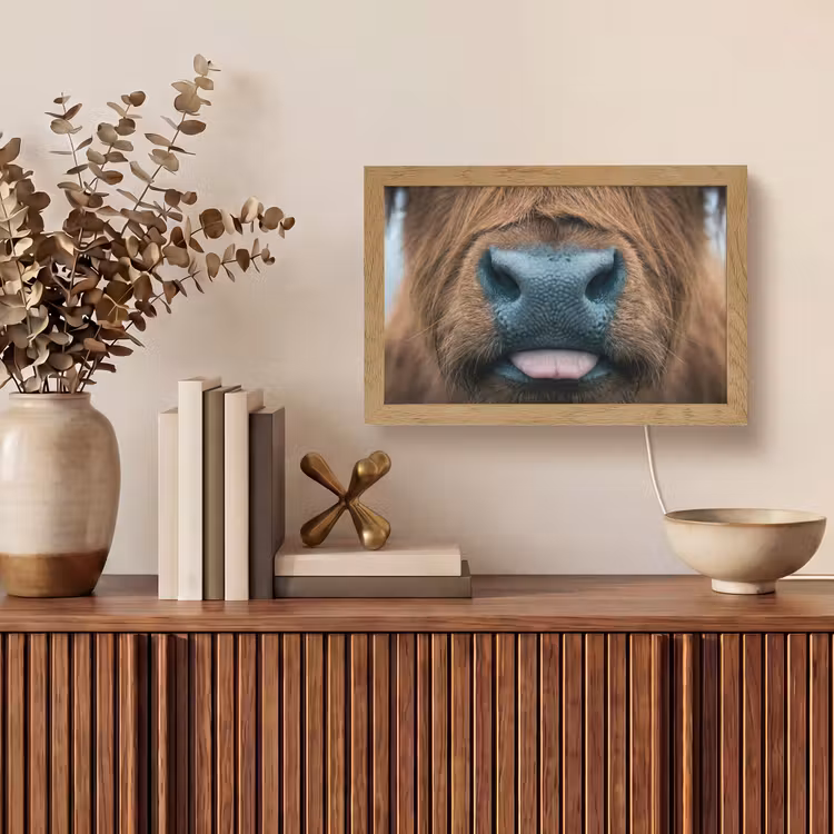 Schotse hooglander - Neus - Bruin Light Box met kabel (Tafellamp) klein -sfeer2