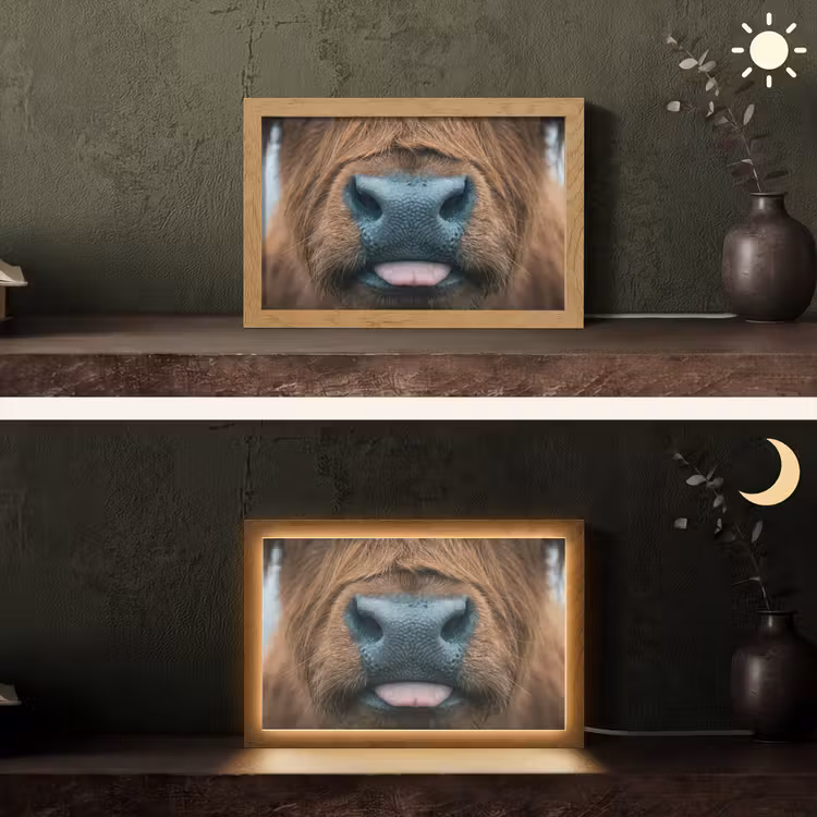 Schotse hooglander - Neus - Bruin Light Box met kabel (Tafellamp) klein -sfeer3