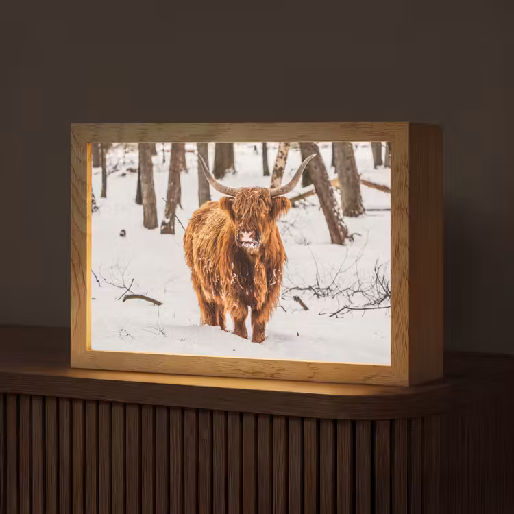 Schotse Hooglander - Sneeuw - Winter - Natuur - Dieren Light Box met kabel (Tafellamp) klein -z3d_website