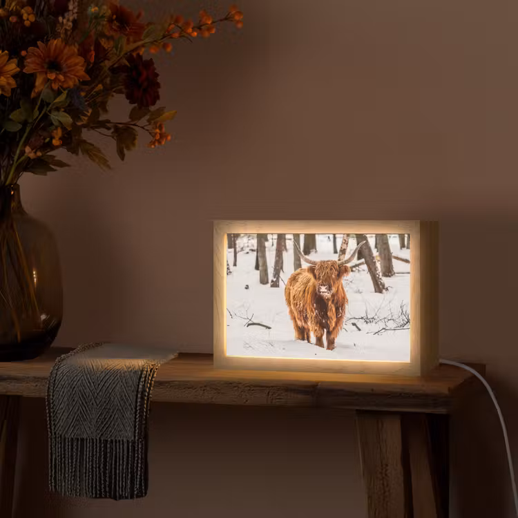 Schotse Hooglander - Sneeuw - Winter - Natuur - Dieren Light Box met kabel (Tafellamp) klein -sfeer4